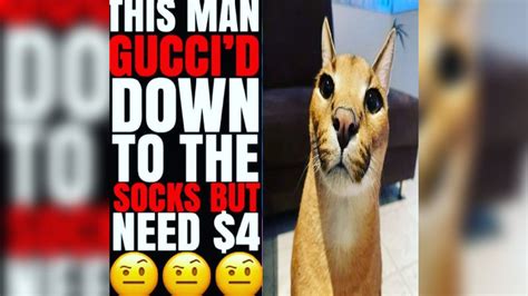 i need new pair of gucci meme|Gucci down to the socks meme.